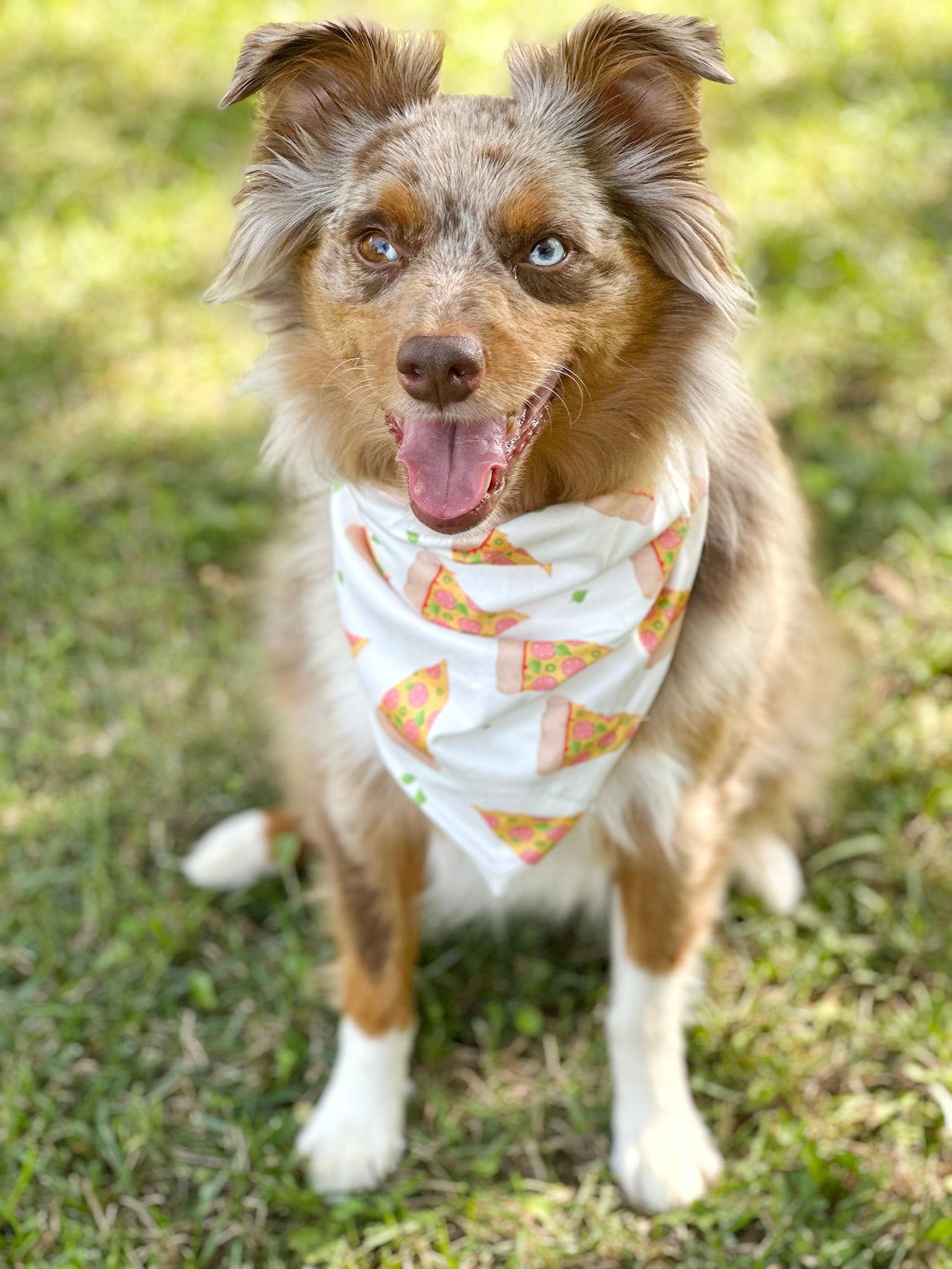 Pet Bandana