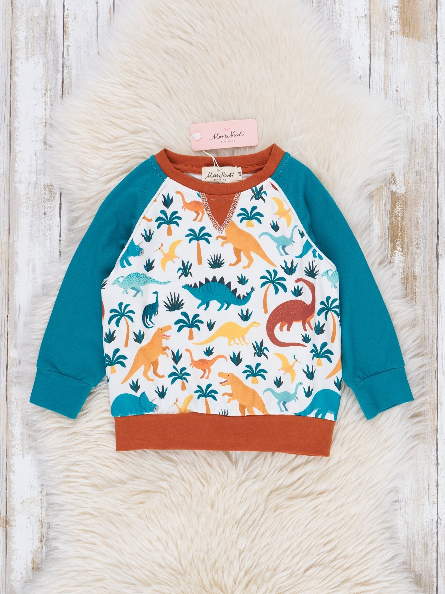 Brown & Turquoise Dinosaur Raglan Shirt - Marie Nicole Clothing