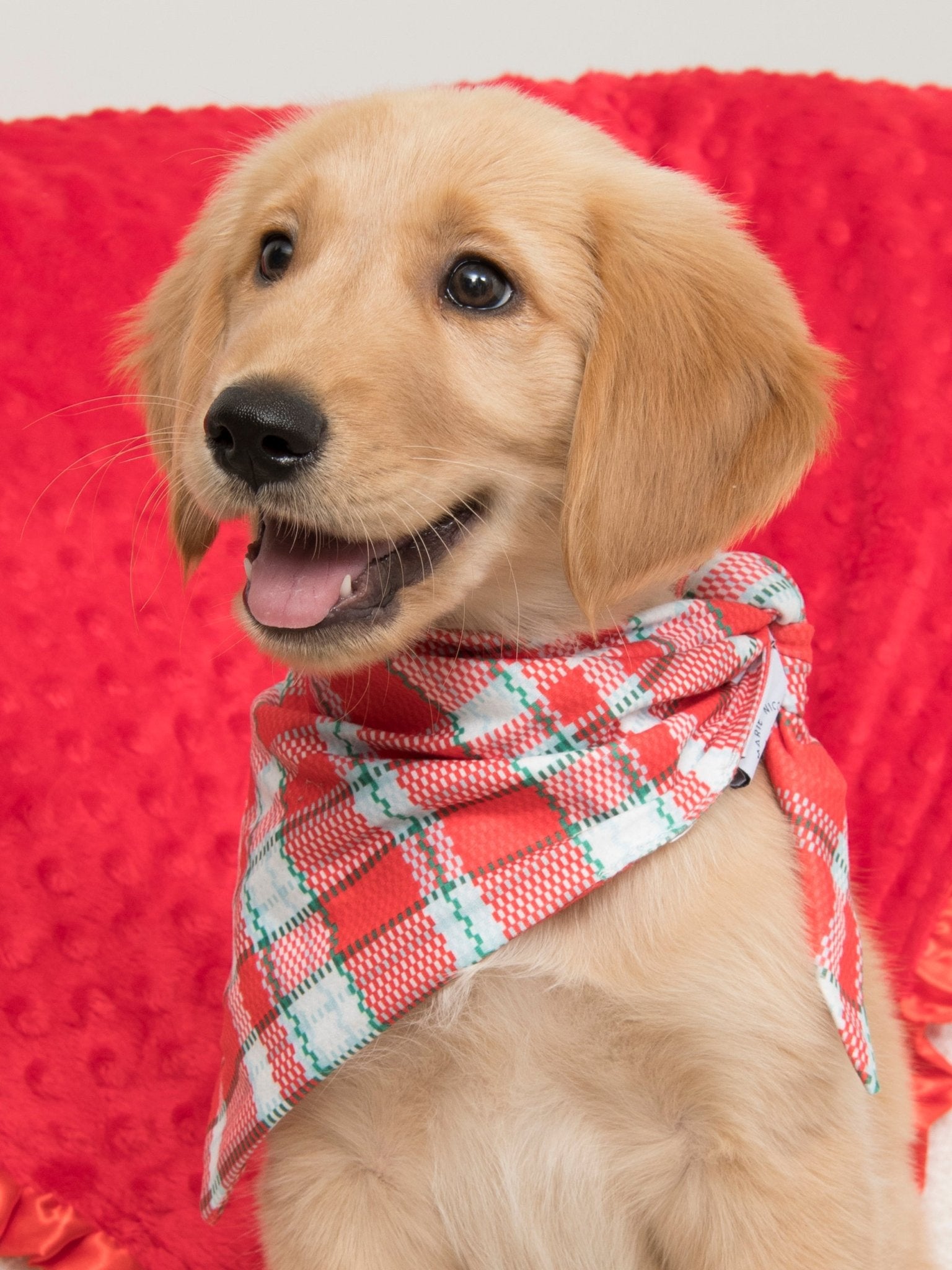 MNC Royal Pups™ Pet Bandana - Marie Nicole Clothing